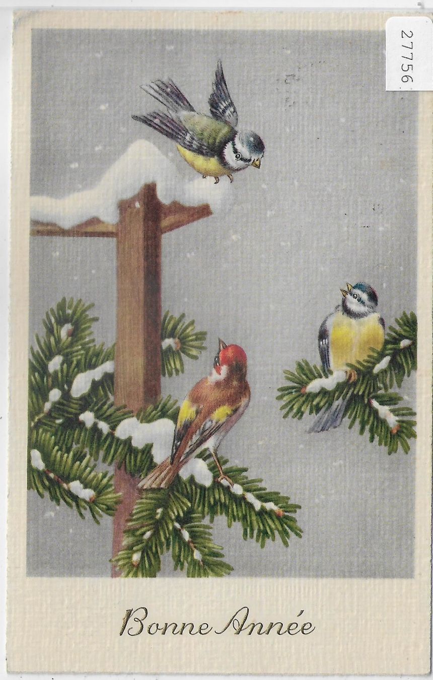Ansichtskarten: Bonne Annee - Neujahrsgrüsse - 3 Vögel – Gebraucht aus Ettingen von Kartenplanet