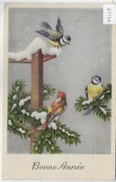 Bonne Annee - Neujahrsgrüsse - 3 Vögel