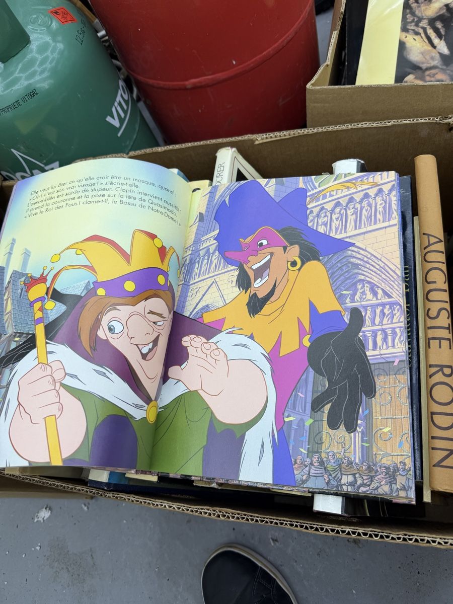 Fumetti: Le Bossu de Notre-Dame Disney 1995 – Usato da Wettingen venduto da NickInc 4
