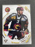 Sportzoo Lukas Klok Sc Bern SCB