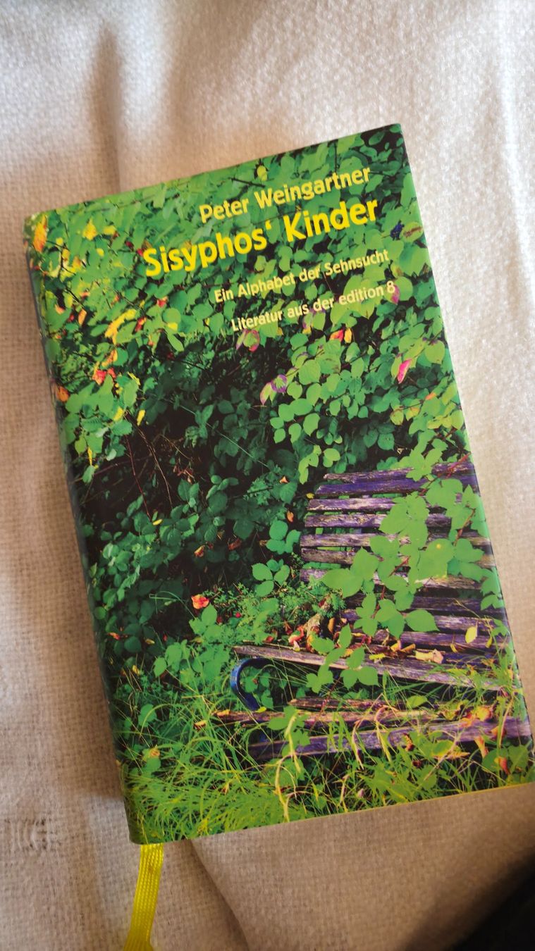 Bücher: Peter Weingartner - Sisyphos' Kinder, Top Zustand! – Neu (gemäss Beschreibung) aus Zofingen von PiaZ0102