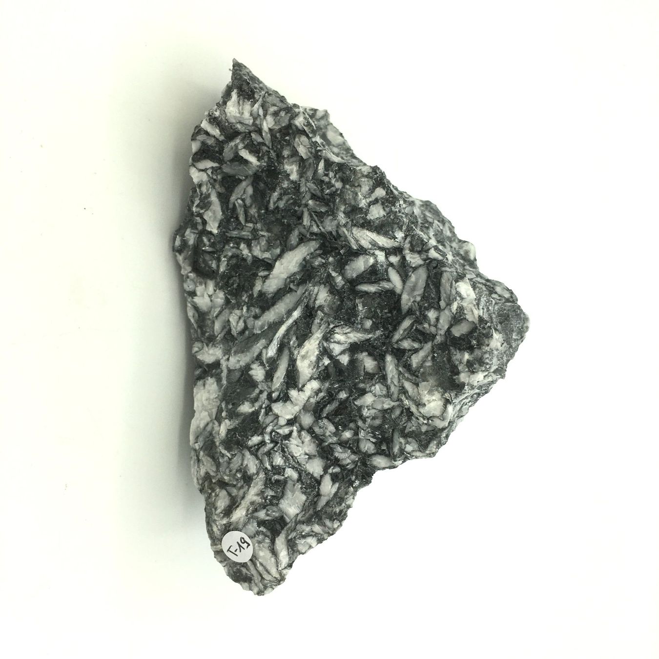 Minerali & Pietre curative: Pinolith - Rohstein - Naturbelassen – Nuovo (secondo la descrizione) da Samstagern venduto da Spliti