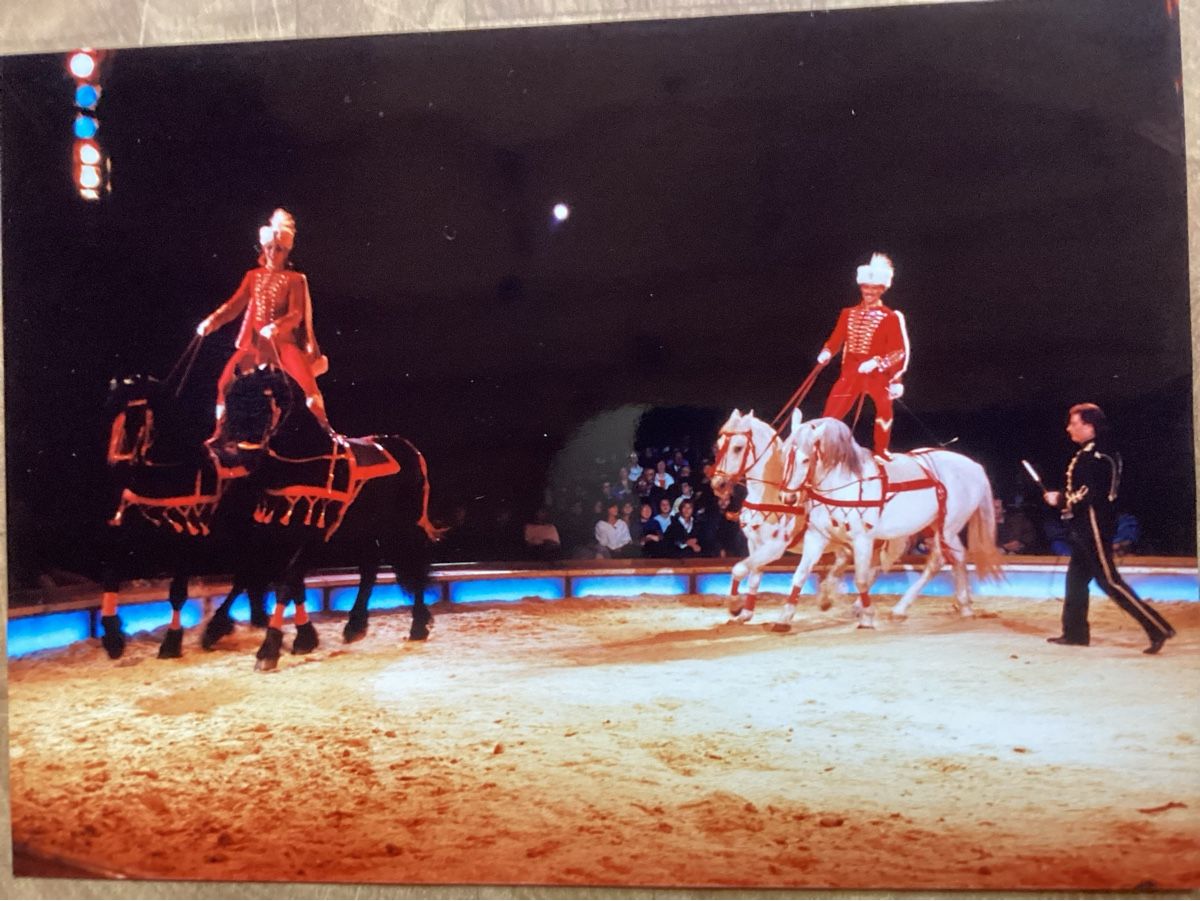 Foto & Immagini: Circus Knie Foto 1986 – Usato da Reichenbach i. K. venduto da astra2010