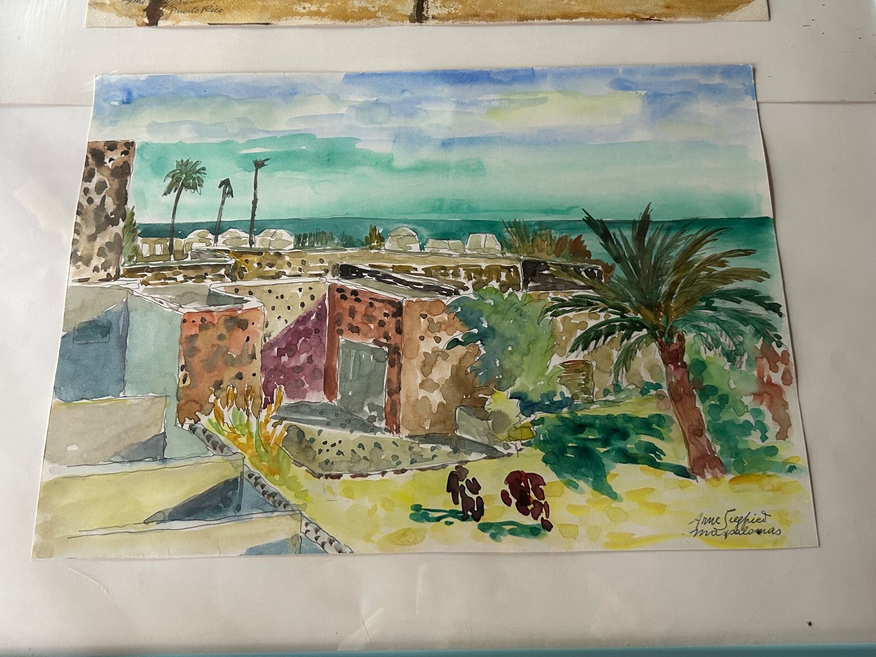 Foto & Immagini: Aquarelle Arne Siegfried – Usato da Schaffhausen venduto da amwr 9