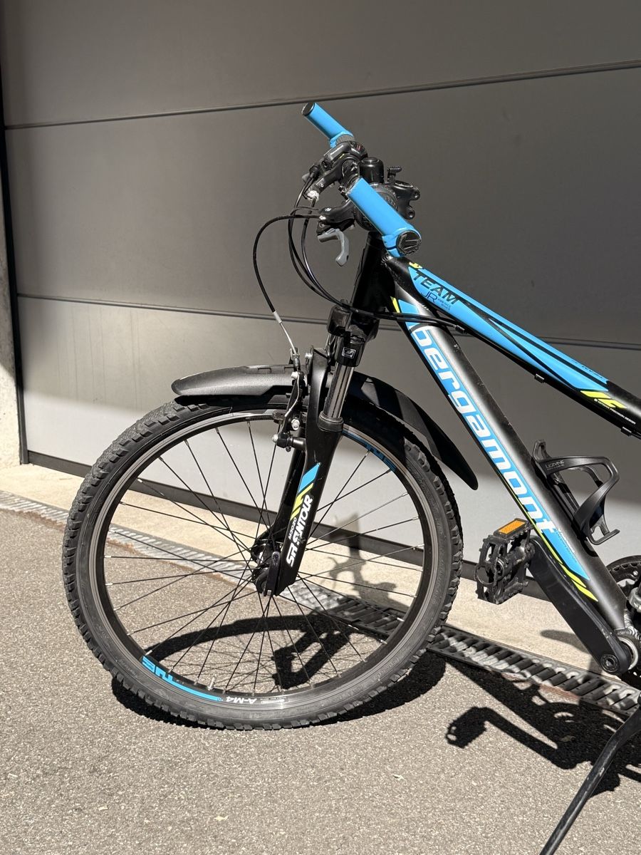 Bergamont Biciclette: Bergamont Mountain Bike – Usato da Erlenbach ZH venduto da Benio407 2