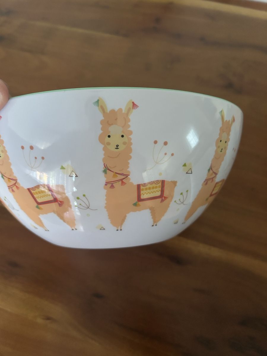 Ciotole: Grosse Salatschüssel Durchmesser 29 cm – Usato da stetten venduto da sulejmani5 2