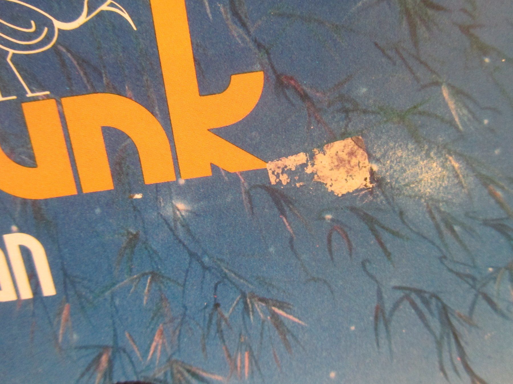 Schallplatten: INSTANT FUNK:   The Funk Is On – Gebraucht aus Seengen von mikelele 1