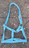 2 Fohlenhalfter türkis und blau Full neu