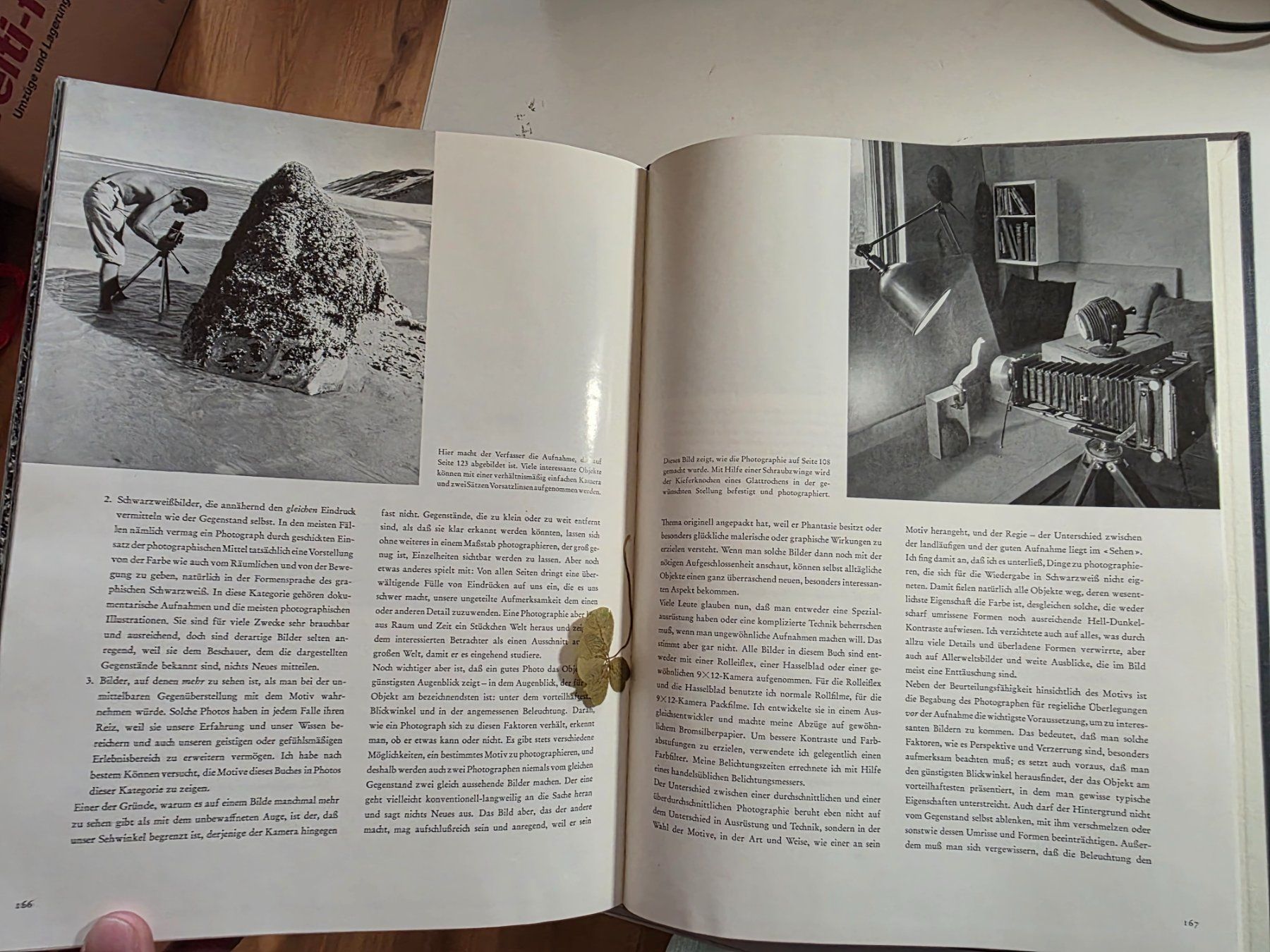 Libri: Das Antlitz der Natur - Andreas Feininger - 1957 – Usato da Walterswil BE venduto da Lonitti 1