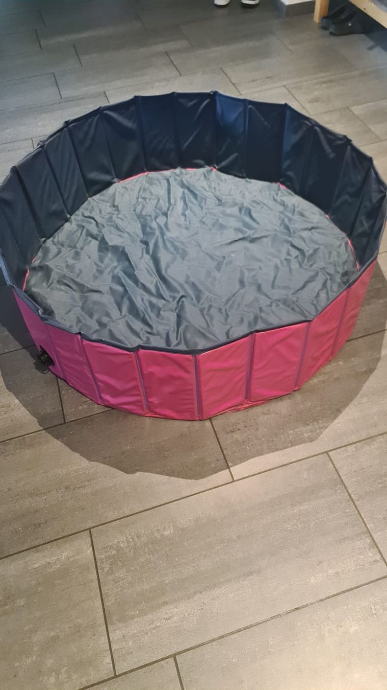 Piscine: Hundepool – Usato da Rothenburg venduto da 123odermatt 3