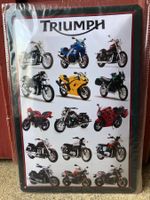 Triumph motorrad zweirad gb