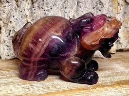 Longgui Drachenschildkröte aus Fluorit 895g