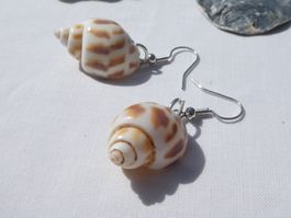 Ohrhänger Muschel, Modeschmuck / neu