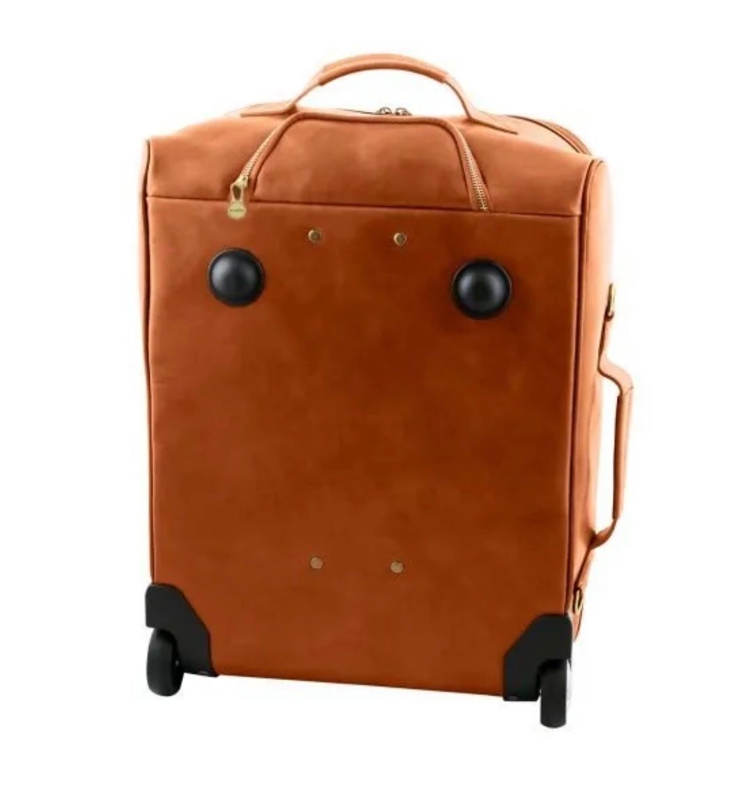 Altro in Aeronautica: Leder Trolley Voyager – Nuovo e nell'imballaggio originale da Wittenbach venduto da WWW.DRILUBAGS.CH 1