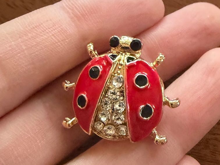 Spille & Fermagli: Hübsche Brosche Marienkäfer rot/goldig mit Strass – Nuovo (secondo la descrizione) da Gams venduto da Mariawicca 1