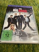 the big bang theory- 4. Staffel