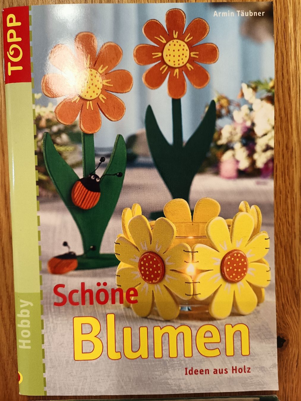 Libri: Topp Holzbastelbücher – Usato da Wangen SZ venduto da mka_w5d2 1