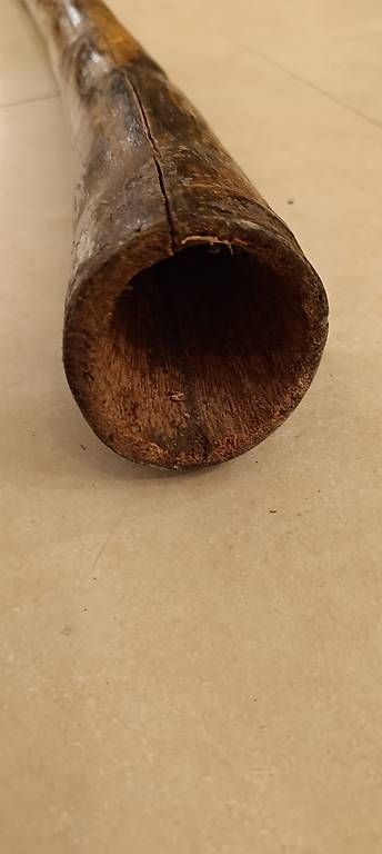 Strumenti musicali: Didgeridoo – Usato da Kienberg venduto da Shoppingdinge 1
