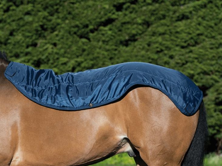 Coperte: Rambo Summer Series inkl. Liner, 155cm – Usato da Farnern venduto da Edelweiss_4539 2