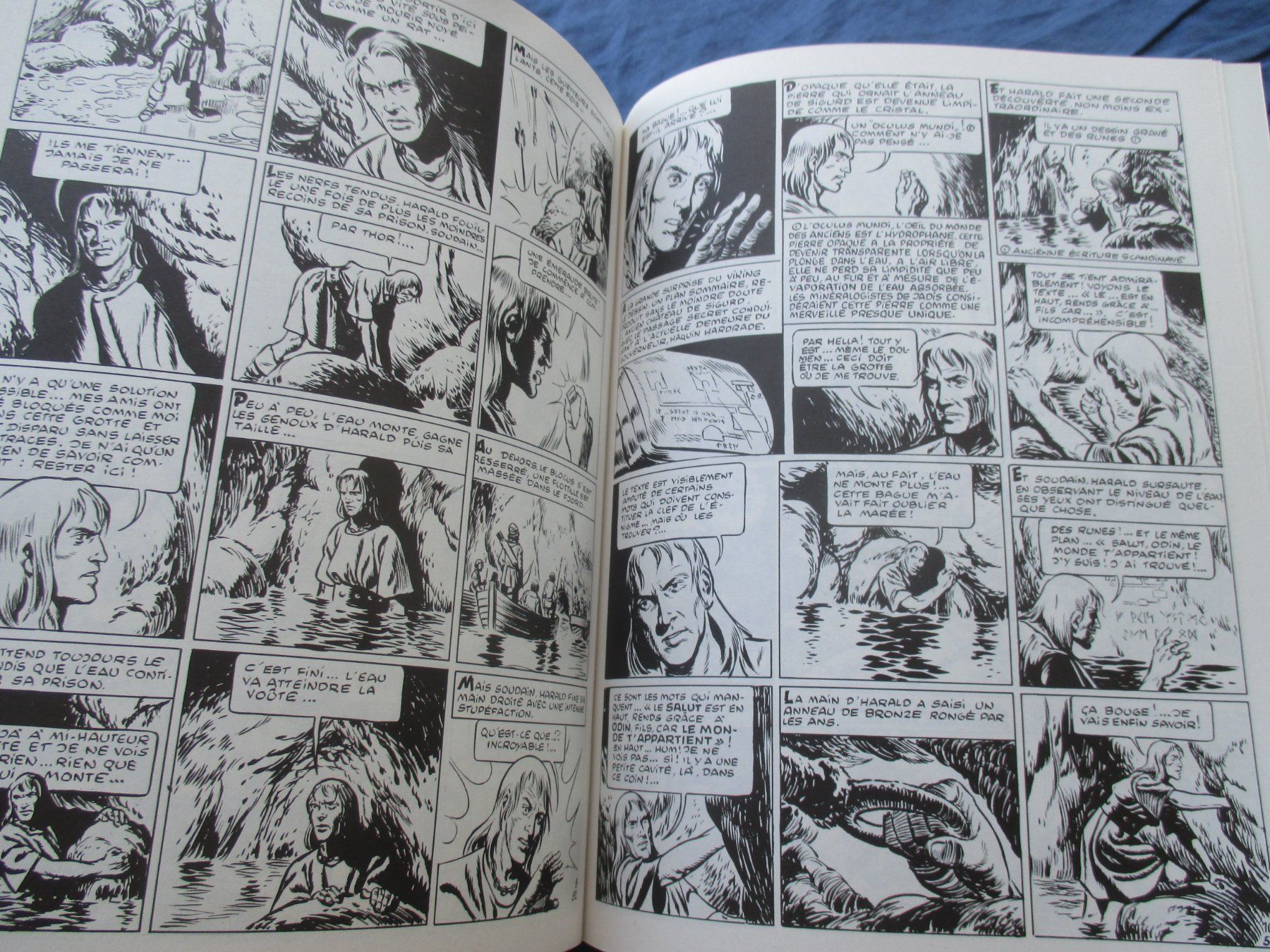 Fumetti: Harald le Viking : La lueur verte – Usato da Colombier NE venduto da Nevenma 1