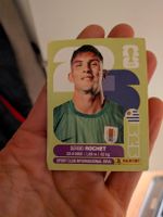 Panini Bild URU 2