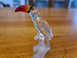 Swarovski Figur Tucan Originalverpackt 