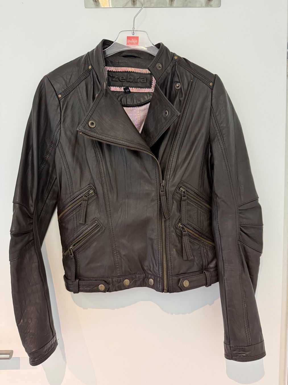 Zebra Giacche: Echtlederjacke Bikerstyle dunkelbraun Gr. 36/38 – Nuovo (secondo la descrizione) da Oetwil an der Limmat venduto da Prinzaessli123