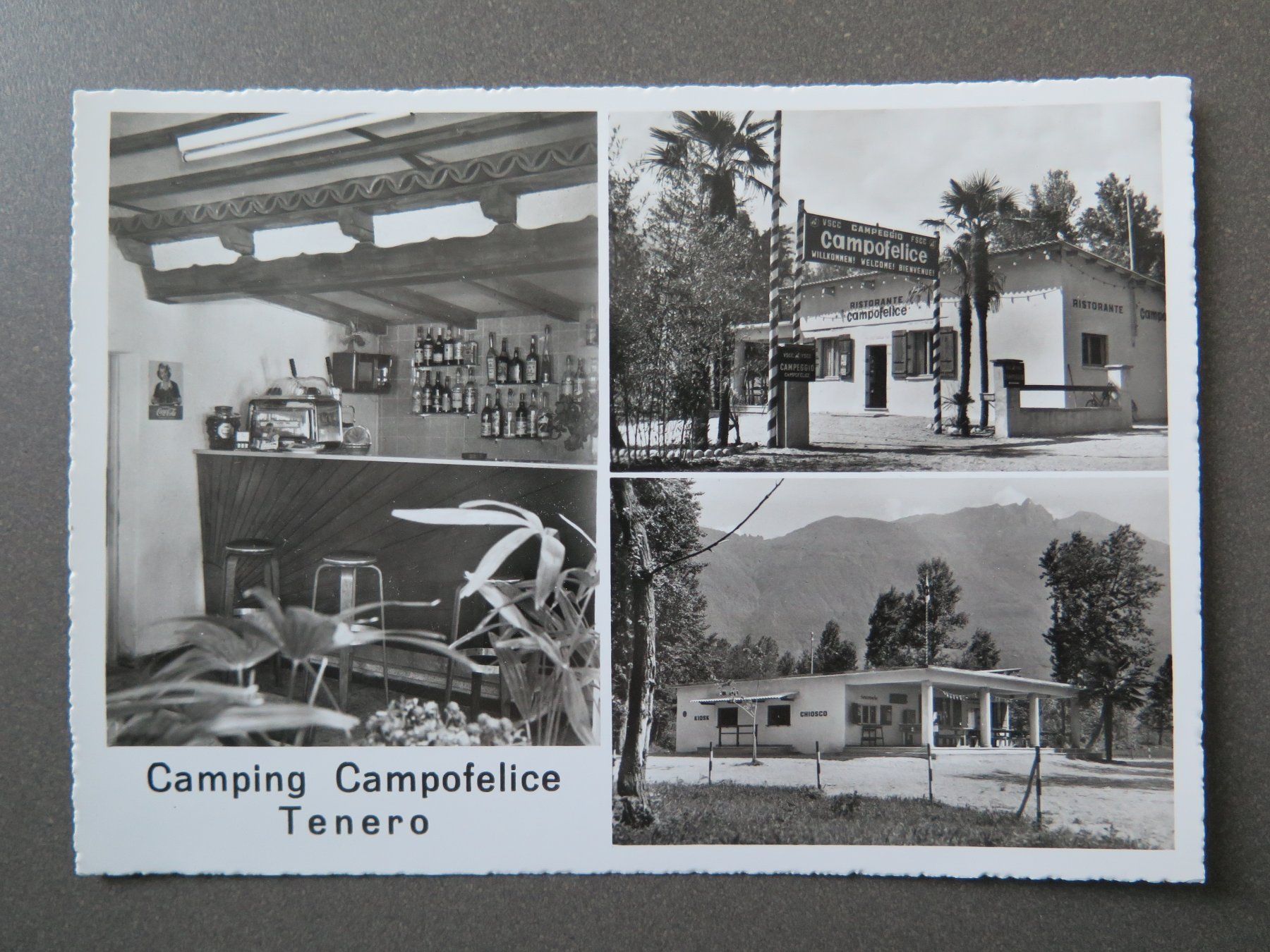 Cartoline postali: TENERO - CAMPING CAMPOFLICE – Usato da Wittenbach venduto da lipasal