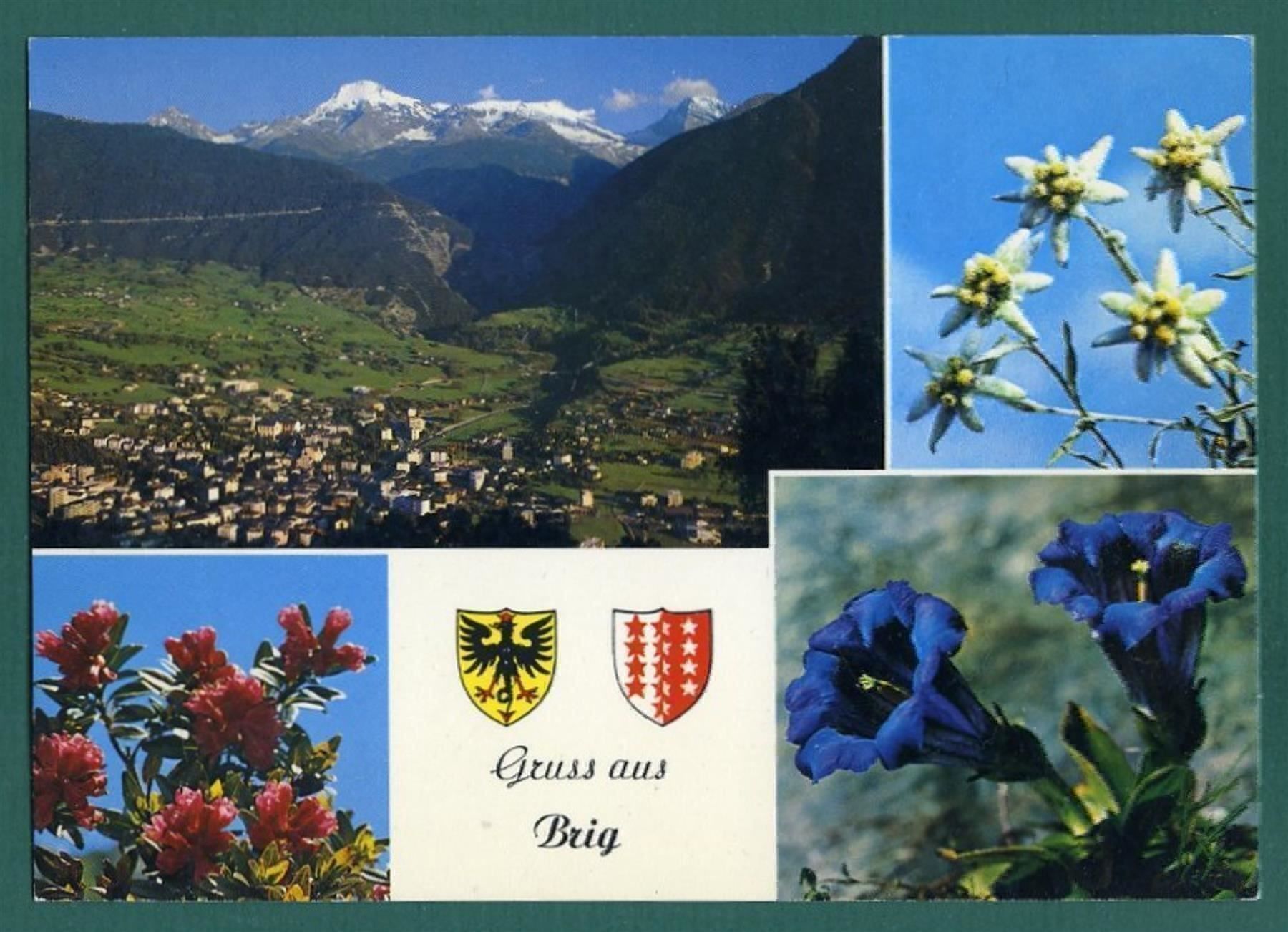 Cartoline postali: Brig - 1994, ungelaufen, Grossformat – Usato da Sargans venduto da Hausi1951