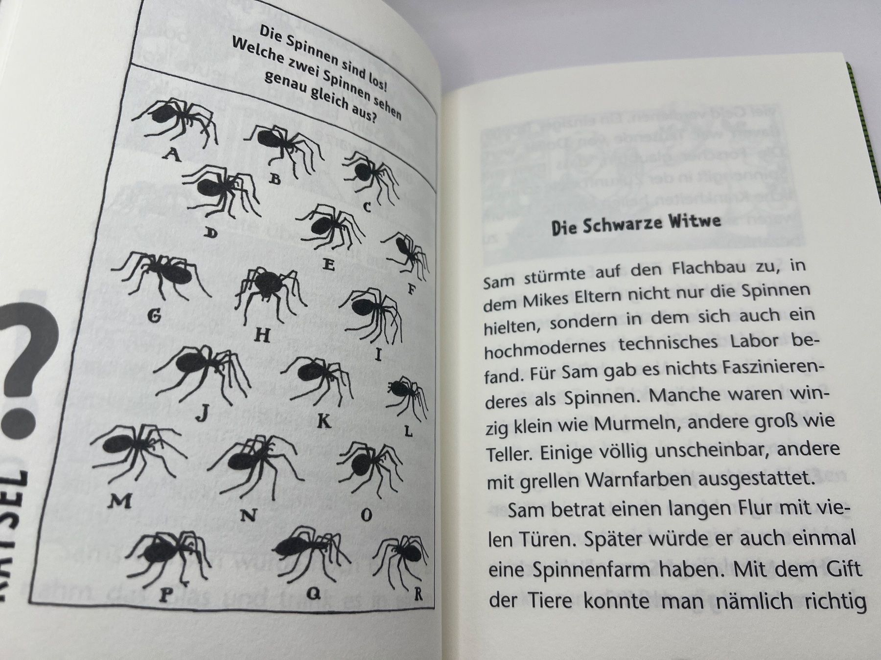 Bücher: 📖 Im Netz der schwarzen Spinne Codewort Risiko1 F. Schiller – Neu und originalverpackt aus Vaduz von NotNeeded 4