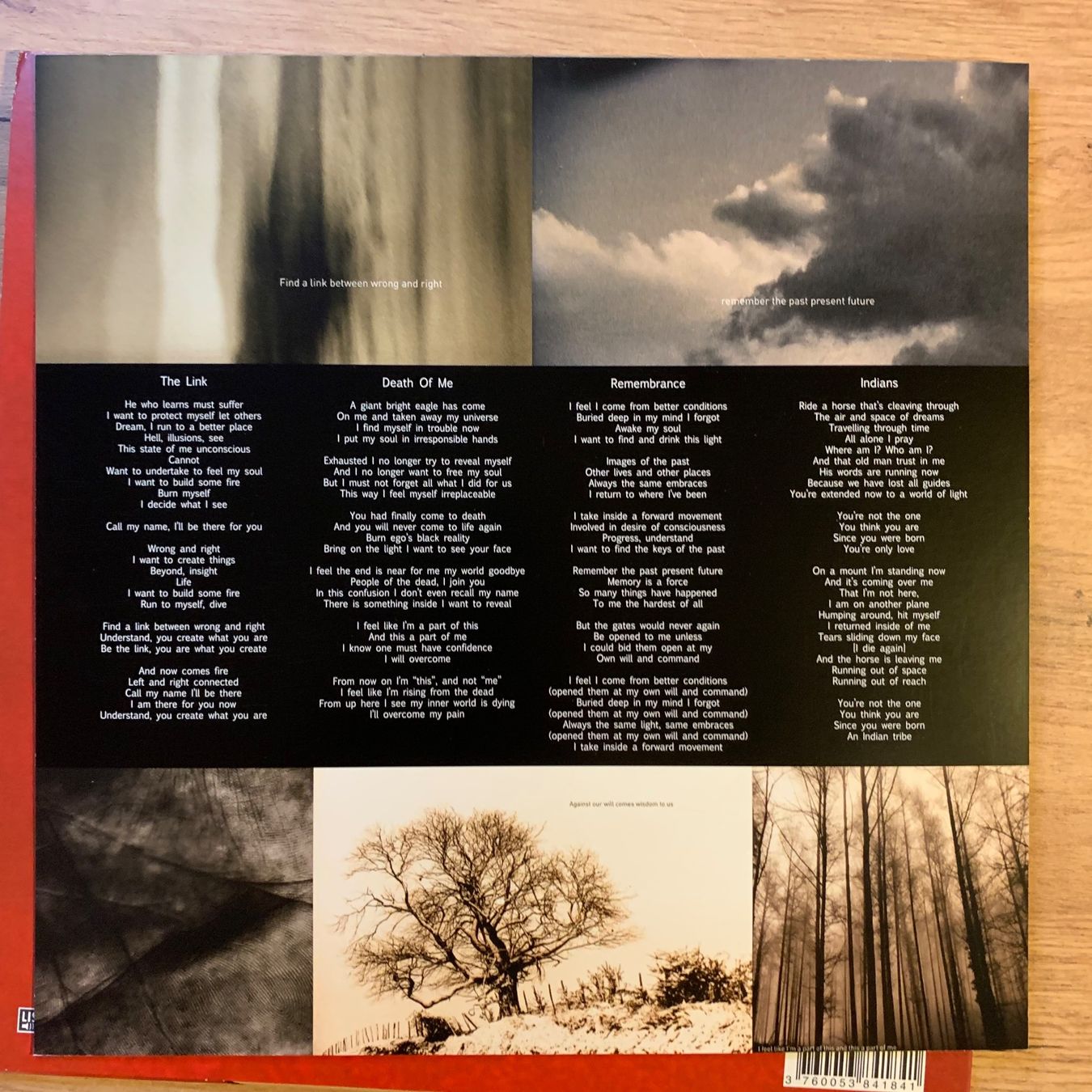 Dischi in vinile: GOJIRA - THE LINK...RE FR 2012...VG+/VG+ – Usato da Gals venduto da Diskopatshop 2