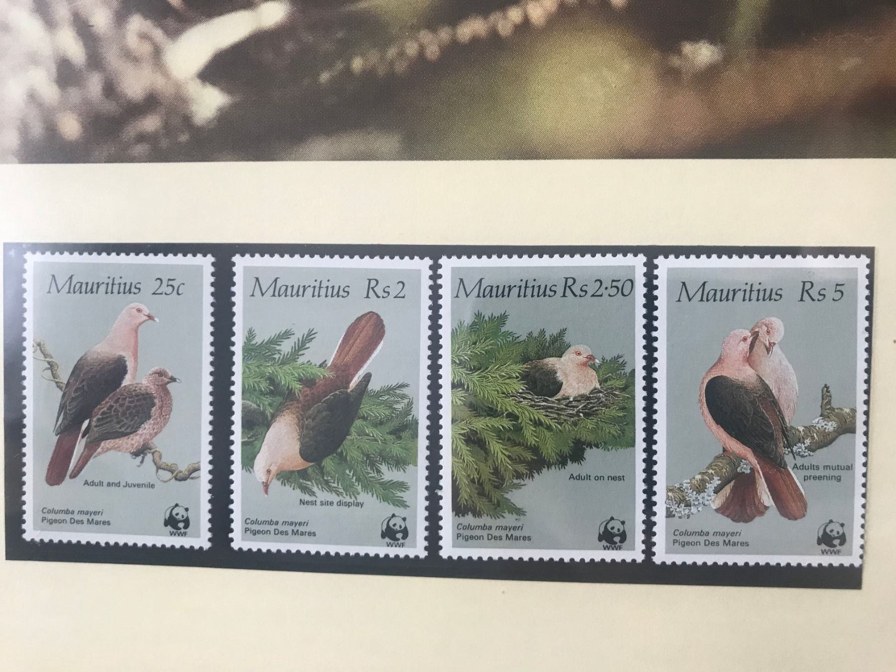 Tutti i francobolli: WWF Mauritius 1985 Taube Satz postfrisch – Nuovo (secondo la descrizione) da Liestal venduto da schnueps