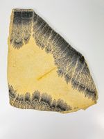 Dendriten Platte aus Kalkstein – Landschaftsstein Unikat