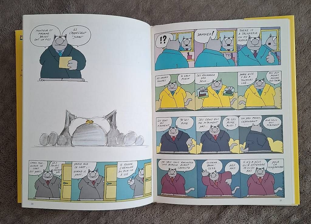 Fumetti: Le chat de Philippe Geluck - édition 1988 EO Castermann – Usato da la Sarraz venduto da Sonichka03 3