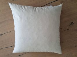 Daunenkissen 65x65cm: neue, reine Gänsefederchen