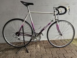Diana Rennvelo