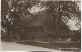 LANDWIRTSCHAFT/STROHDACHHAUS 1920 Aargau