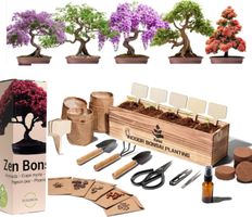 Starter-Set Holzdekoration für Innenräume 5