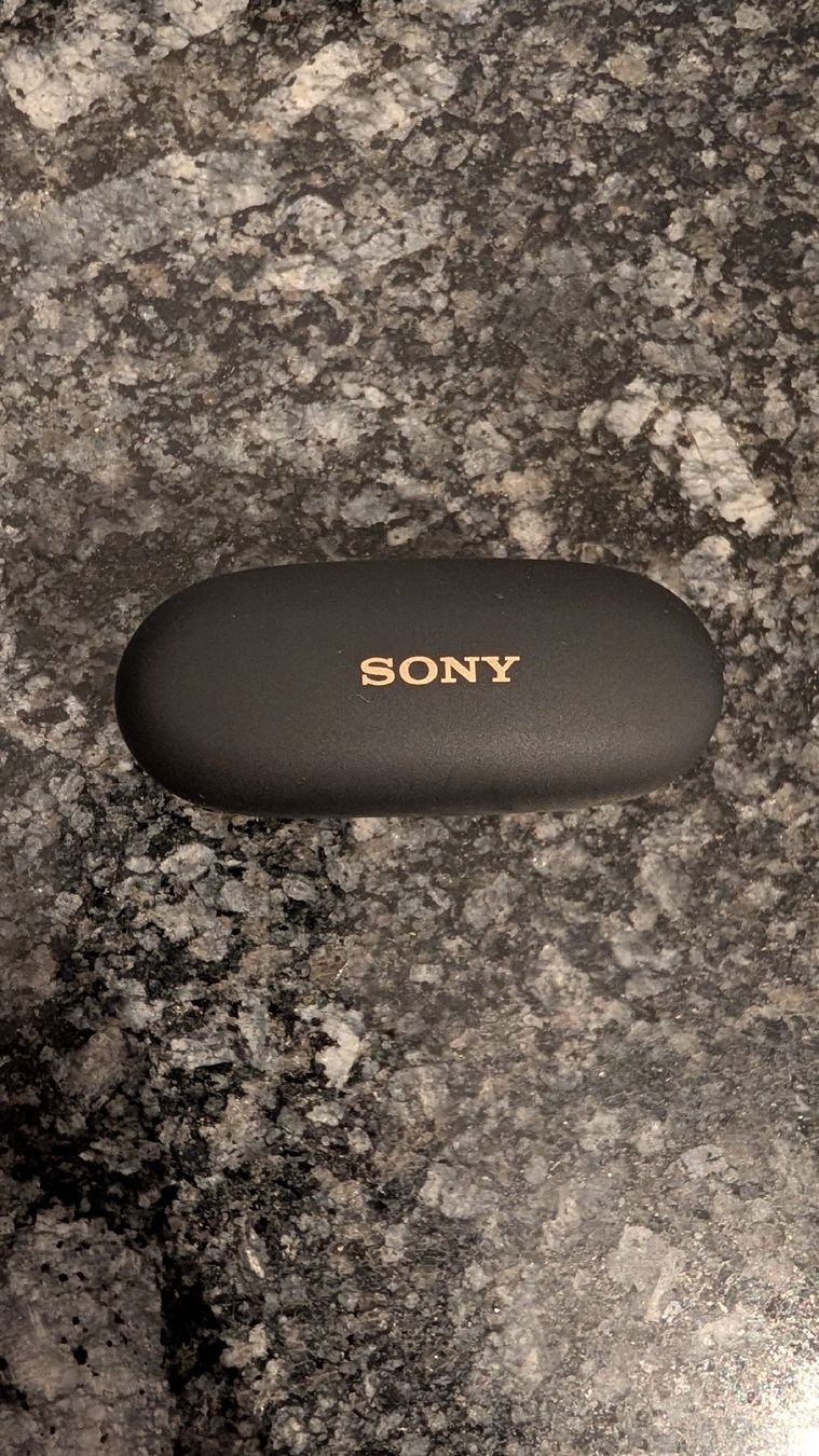 Sony Cuffie: Sony WF-1000XM5 – Usato da Zollikofen venduto da oyster_13 3