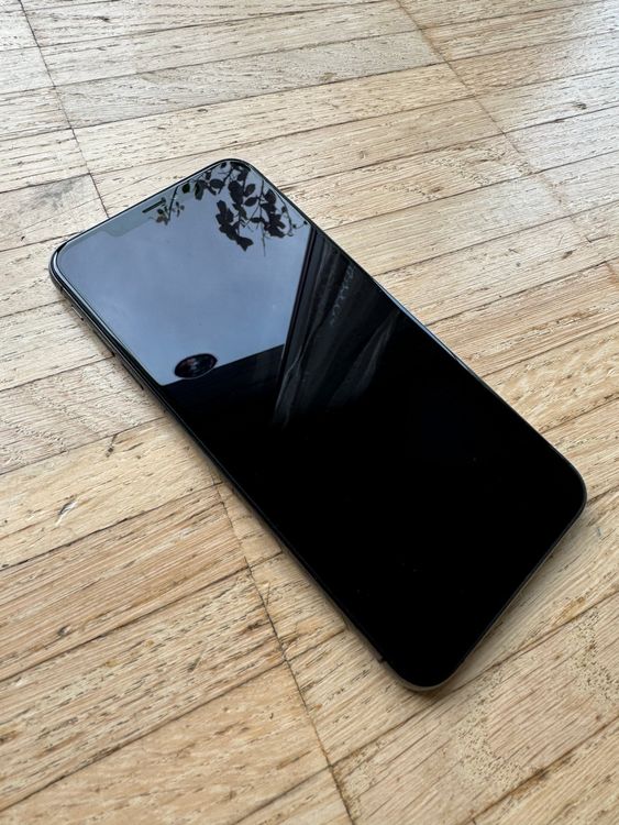 iPhone Xs Max 256GB Space Black Kaufen auf Ricardo