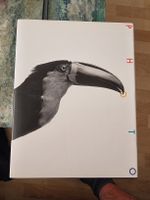 Große Graphis Photo Sammlung 1966–1997  
