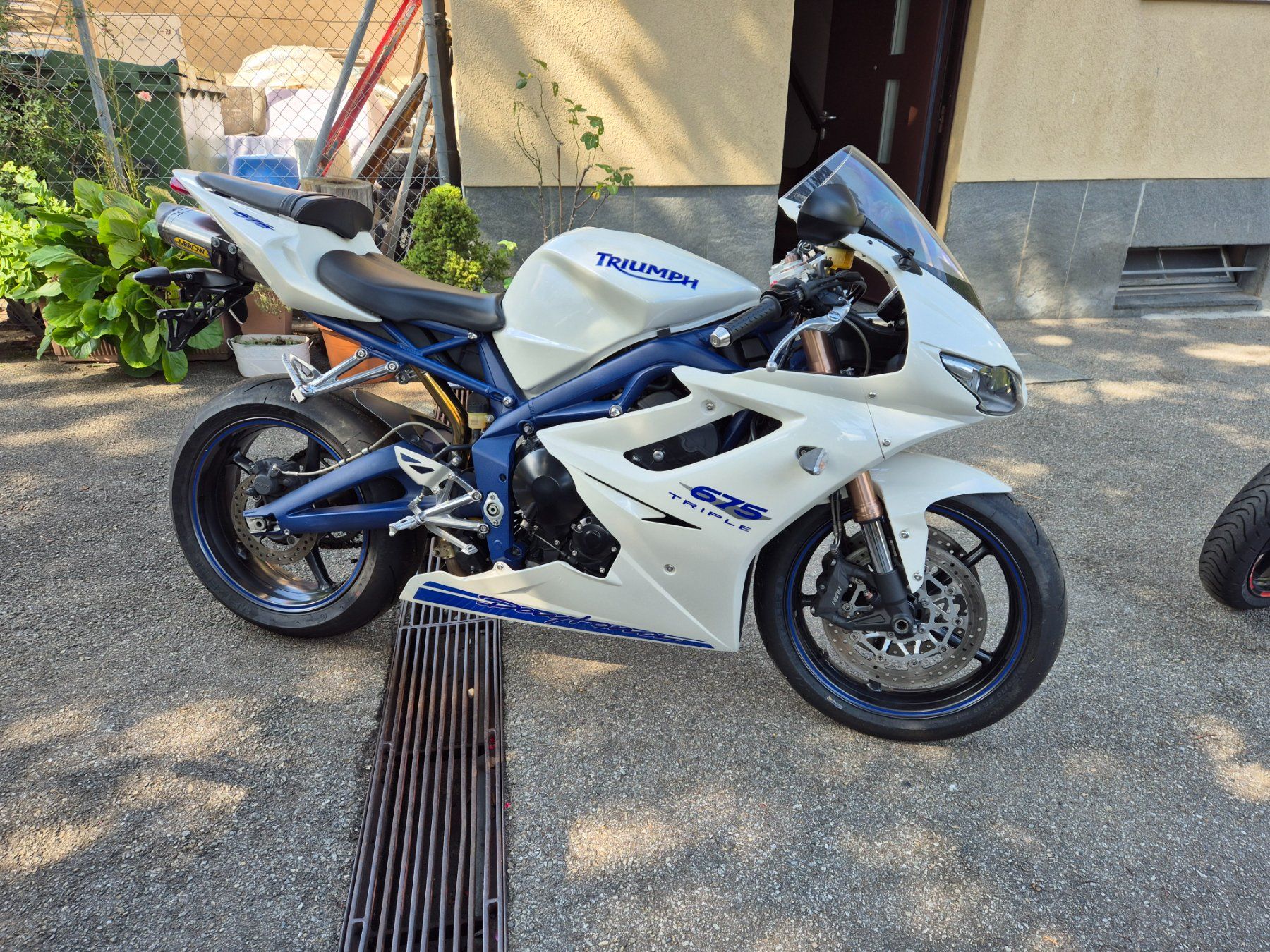 Triumph Route: Triumph Daytona 675 SE – D'occasion à Lamone par Dany_19 1