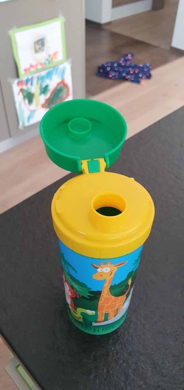 Rotho Contenitori & Simili: Trinkflasche – Nuovo (secondo la descrizione) da Tafers venduto da Nathtafers 1