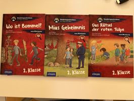 Detektivgesichten Klasse 2 Bücher set