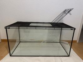 Terrarium Glas mit Gitterdeckel 100x50x50cm