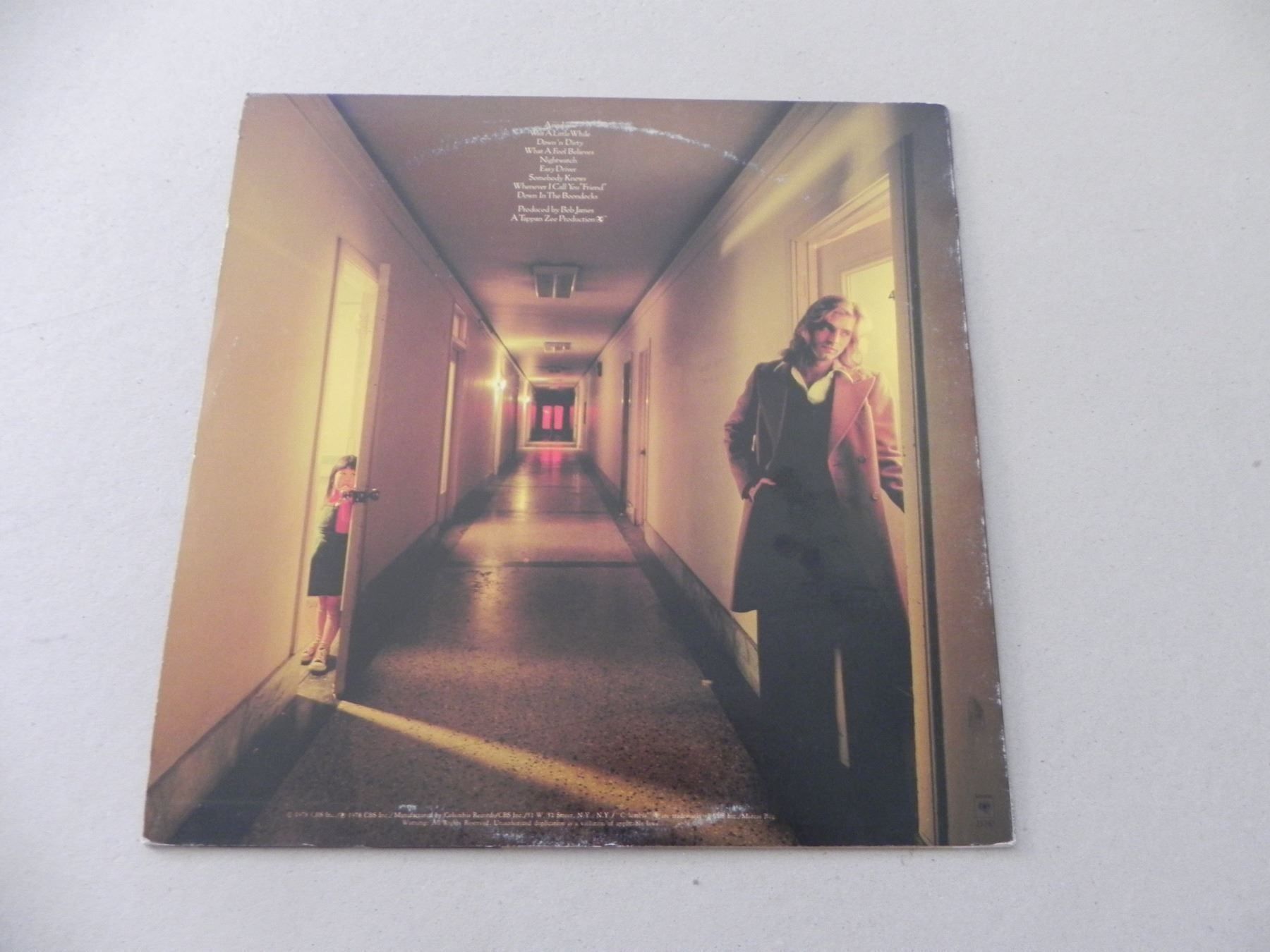 Dischi in vinile: Doppel LP & 2 LP Kenny Loggins 1978 /82 – Usato da Siebnen venduto da krimsie 2