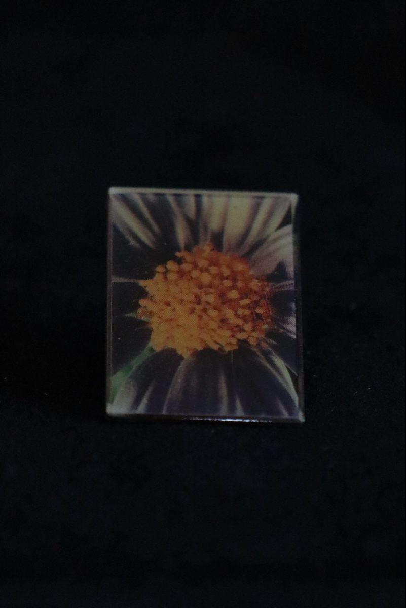 Placchette & Badge: Blumen PIN‘s – Usato da Ottenbach venduto da siiinnaa_77 1