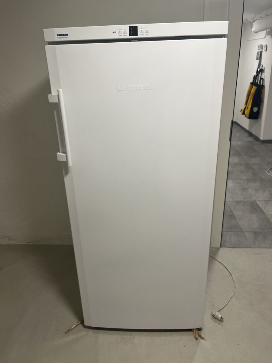 Congelatori: Frostschrank Liebherr, 253 L – Difettoso da Solothurn venduto da wol_hs7p