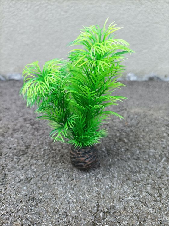 Aquarium Deko Pflanze Kaufen auf Ricardo