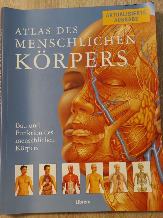 Best HD Pictures about  Teil Des Korpers 5 Buchstaben  with No AI Images